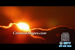 TV Content Image